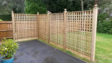 trellis installation 